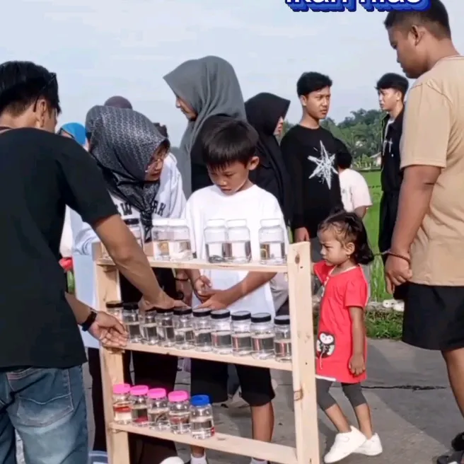 mega.mendung53