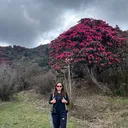 @unknow25861