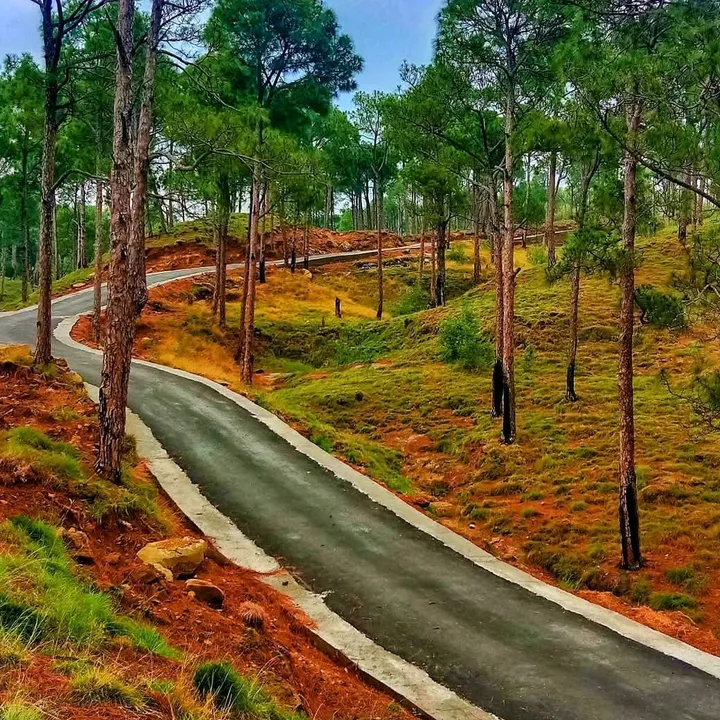 kashmirii.pahari.log