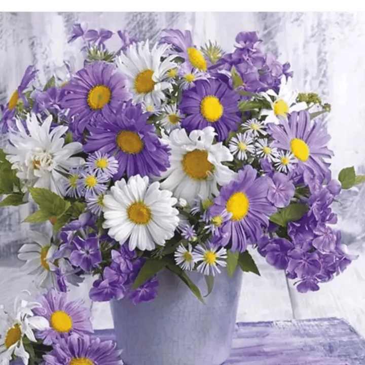 @solntce__777