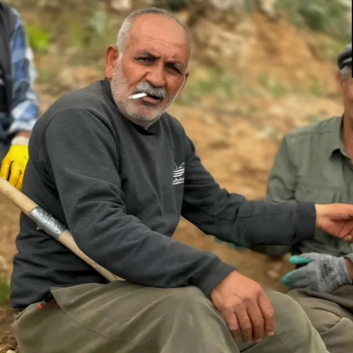 babam04.08.2025