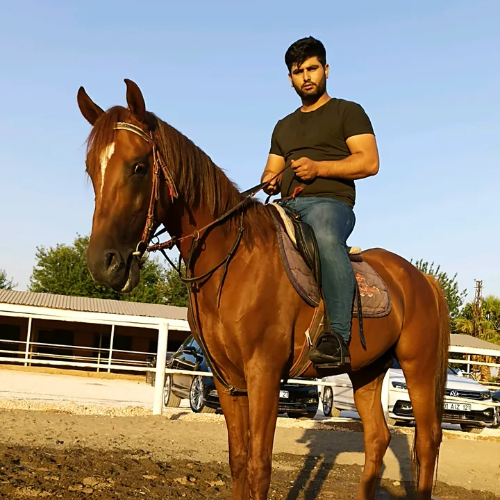 @salihsanli6321
