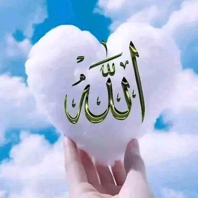 @ayoobi041