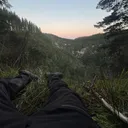 @lamb902649l