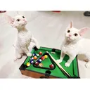 @harmony.cat