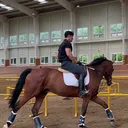 @malguen6