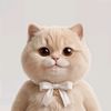 keishocat