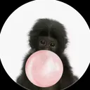@dani.cordeiro27