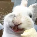 @nemuieiei3