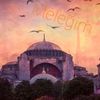 zeepro_6