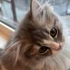 nini.0.9.09__1201