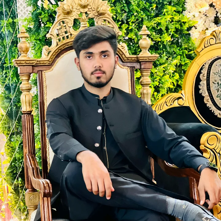 adeelbajwa605