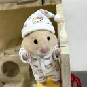 @patty2040