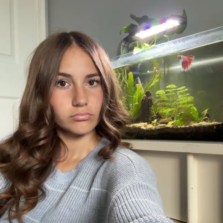 annemariedovee