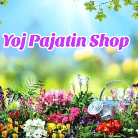 jhovin29shop