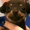 @tower_calculo_2