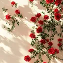 @__mehdiyevvaa__