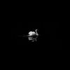 ___bilyan123___