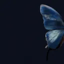 @pyteoo0