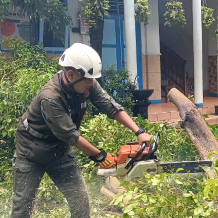bima27126