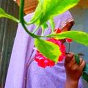 @70utti