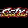 cctvduriandaun