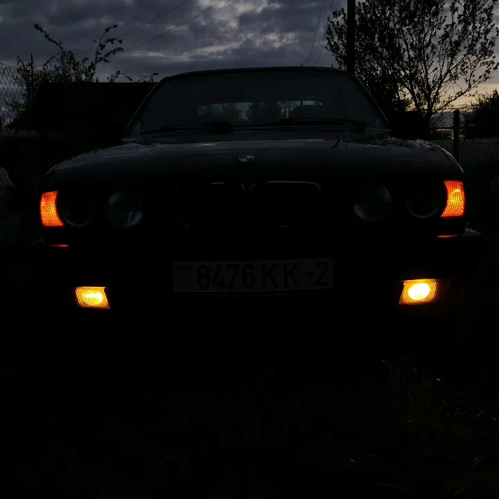 @bavarec_na_stile_8476
