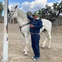@negro.pala