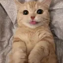 @slyp1ee