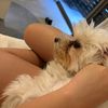 alex.dayan123