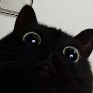 indomisyosyo