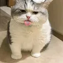 @user428192361075