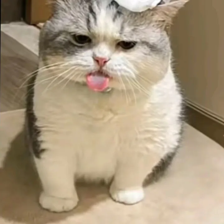 @user428192361075