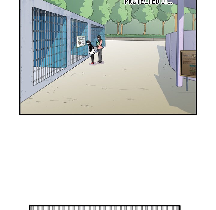 Secret Zoo - episode 26 - 17