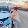 mayssa.mayssa960