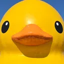 @user4026876079561