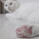 @masso_masao