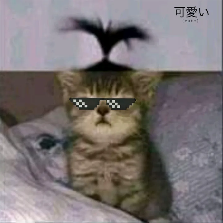 @tyoxz14