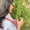 fatemeh.rezaii