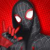 ttspidermanchik