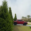 @d_3cyo3