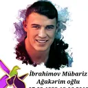 @vetenimin_igidleri
