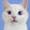 @runq25