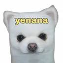 @izone12985