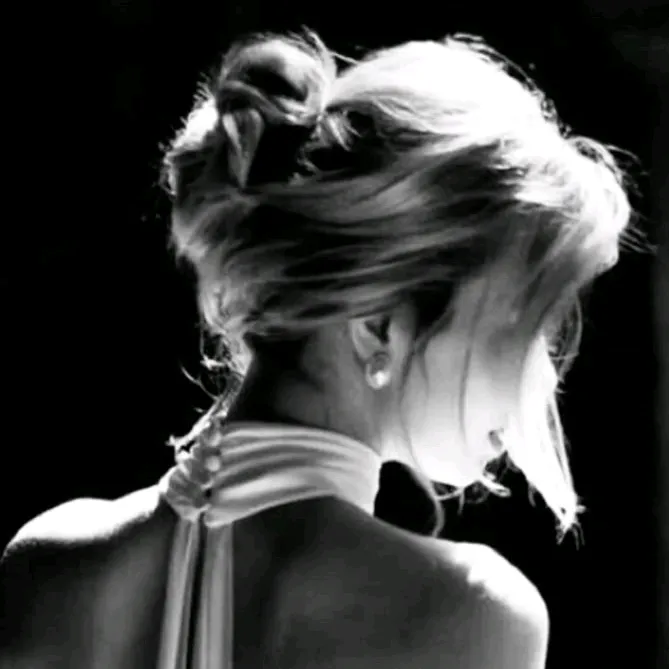 silk.archive