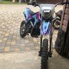 bsearsenii228