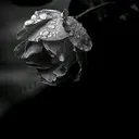 @80elenafilip