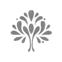 @treeoflife_love