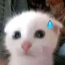 @mishq_q