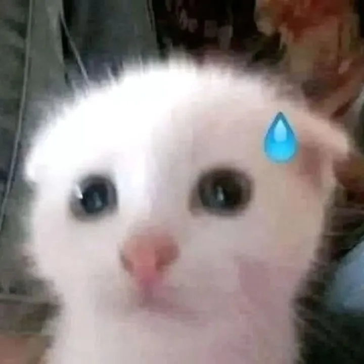 @mishq_q